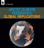 Arctic climate feedbacks: global implications